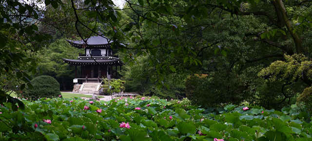 京都発のものづくり